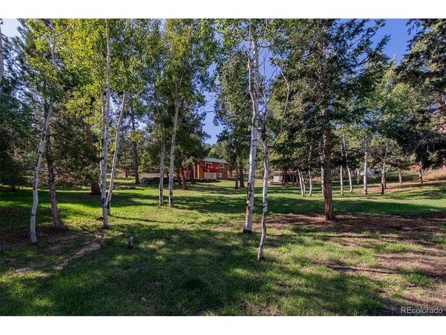 1462 Burland Dr, Bailey, CO 80421