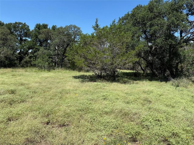 113 N John Bird ST, Blanco, TX 78606