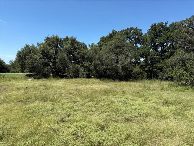 113 N John Bird ST, Blanco, TX 78606