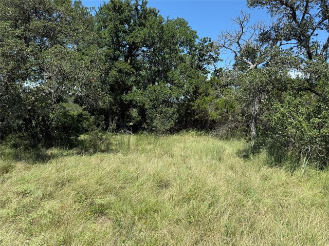 113 N John Bird ST, Blanco, TX 78606