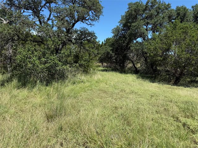 113 N John Bird ST, Blanco, TX 78606