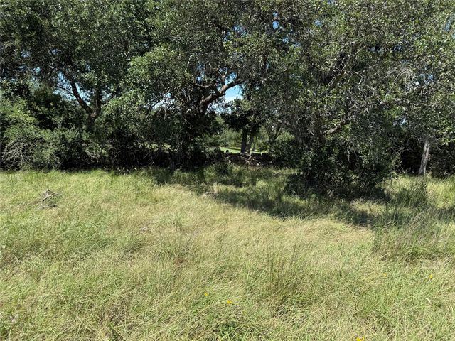 113 N John Bird ST, Blanco, TX 78606