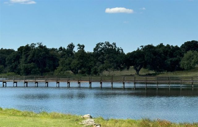 113 N John Bird ST, Blanco, TX 78606