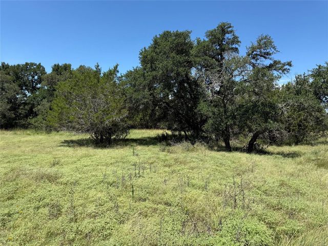 113 N John Bird ST, Blanco, TX 78606