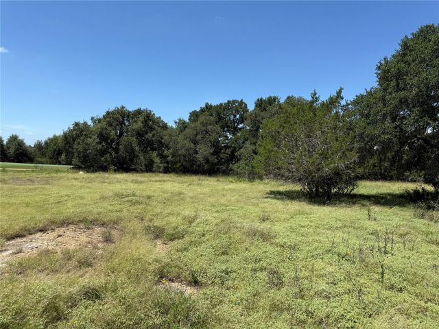 113 N John Bird ST, Blanco, TX 78606