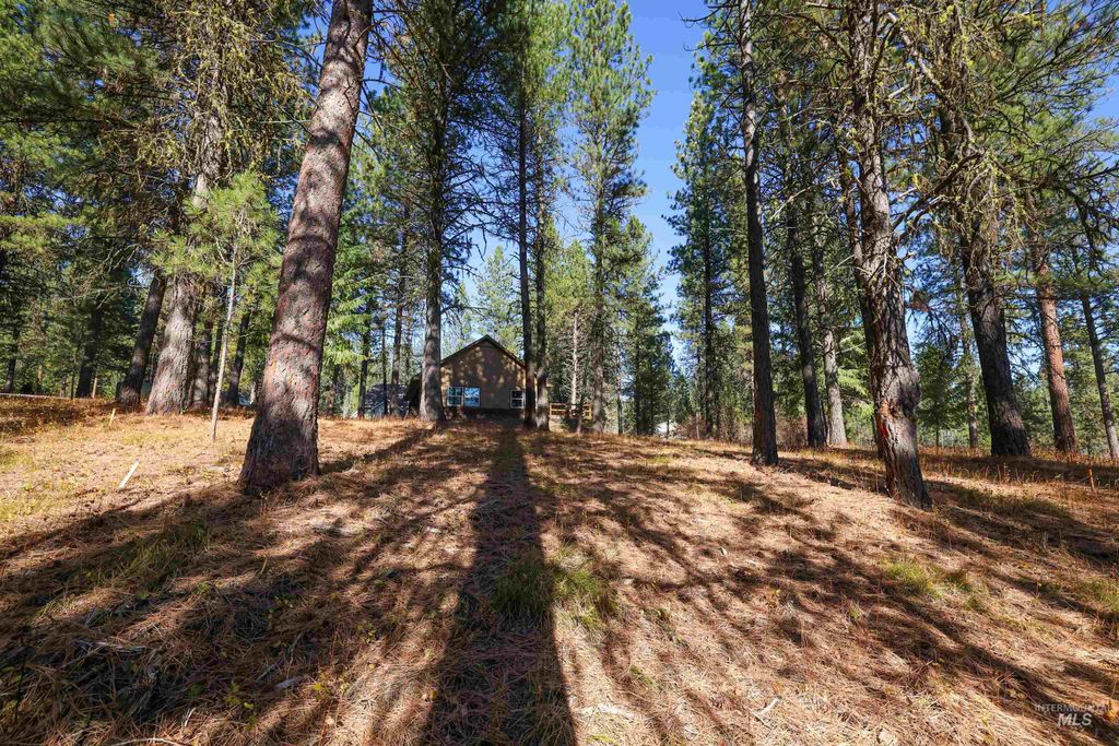 000 Columbine Drive, New Meadows, ID 83654 photo 15