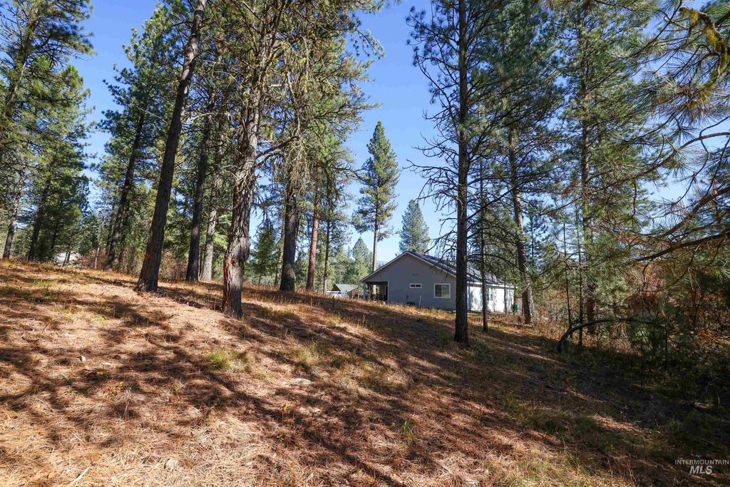 000 Columbine Drive, New Meadows, ID 83654 photo 16