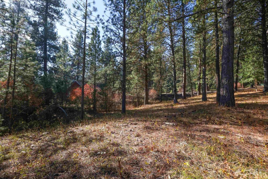 000 Columbine Drive, New Meadows, ID 83654 photo 19