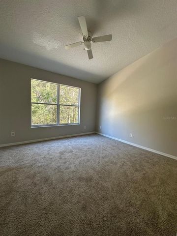 30205 SWINFORD LANE, Wesley Chapel, FL 33543