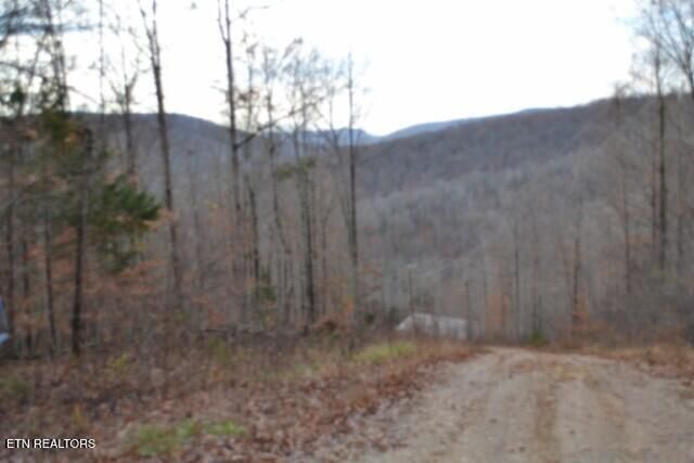Lot 75 Tomahawk Rd, Jamestown, TN 38556