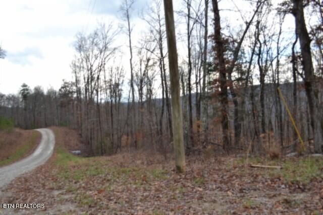Lot 75 Tomahawk Rd, Jamestown, TN 38556