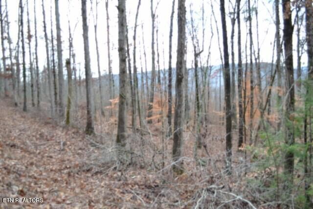Lot 75 Tomahawk Rd, Jamestown, TN 38556