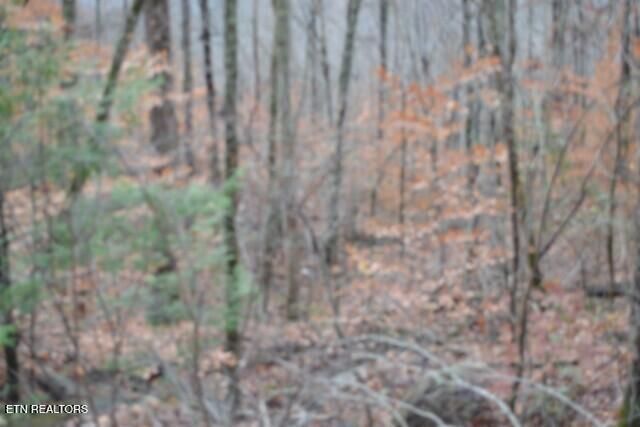 Lot 75 Tomahawk Rd, Jamestown, TN 38556