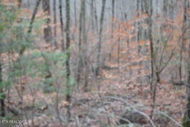 Lot 75 Tomahawk Rd, Jamestown, TN 38556