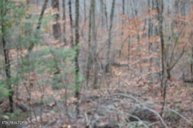 Lot 75 Tomahawk Rd, Jamestown, TN 38556