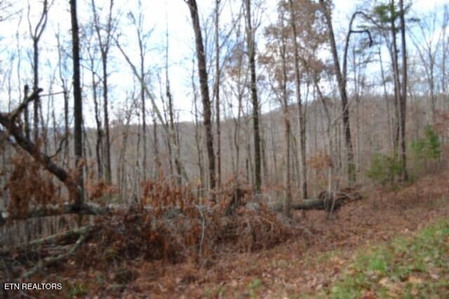 Lot 75 Tomahawk Rd, Jamestown, TN 38556