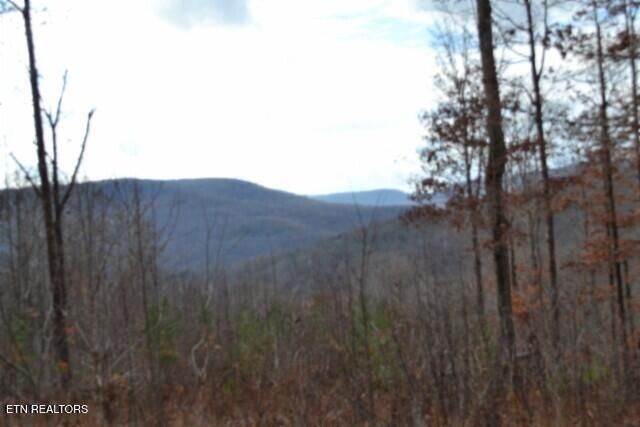 Lot 75 Tomahawk Rd, Jamestown, TN 38556