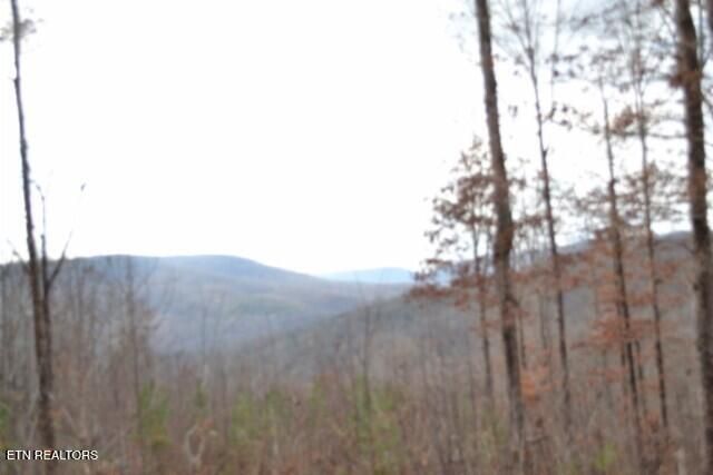 Lot 75 Tomahawk Rd, Jamestown, TN 38556