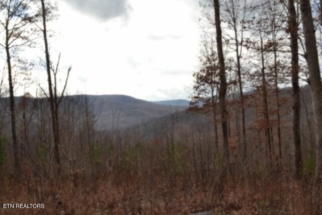 Lot 75 Tomahawk Rd, Jamestown, TN 38556