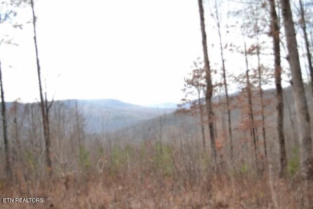 Lot 75 Tomahawk Rd, Jamestown, TN 38556