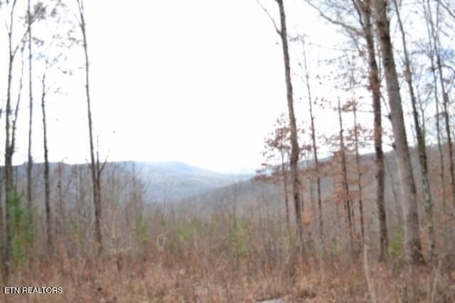 Lot 75 Tomahawk Rd, Jamestown, TN 38556
