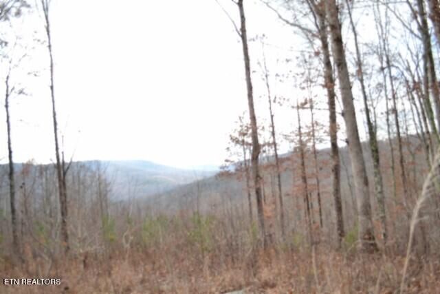Lot 75 Tomahawk Rd, Jamestown, TN 38556