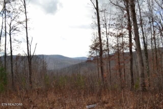 Lot 75 Tomahawk Rd, Jamestown, TN 38556