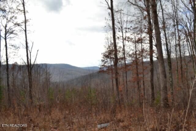 Lot 75 Tomahawk Rd, Jamestown, TN 38556