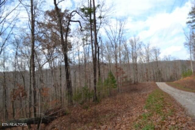 Lot 75 Tomahawk Rd, Jamestown, TN 38556