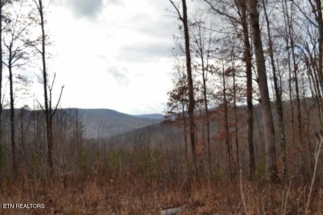 Lot 75 Tomahawk Rd, Jamestown, TN 38556