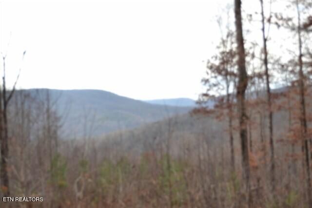 Lot 75 Tomahawk Rd, Jamestown, TN 38556