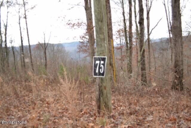 Lot 75 Tomahawk Rd, Jamestown, TN 38556