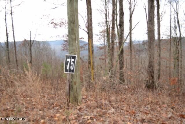 Lot 75 Tomahawk Rd, Jamestown, TN 38556