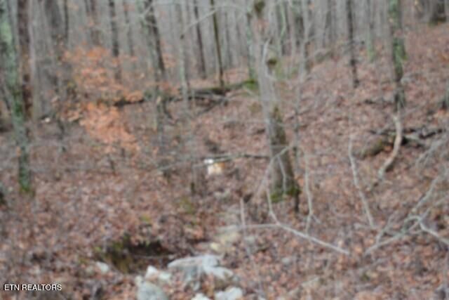 Lot 75 Tomahawk Rd, Jamestown, TN 38556