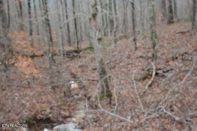 Lot 75 Tomahawk Rd, Jamestown, TN 38556