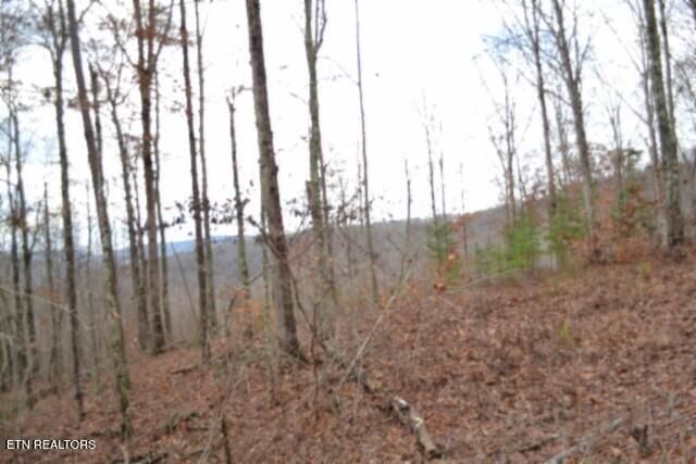 Lot 75 Tomahawk Rd, Jamestown, TN 38556