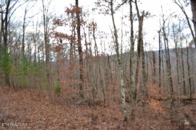 Lot 75 Tomahawk Rd, Jamestown, TN 38556