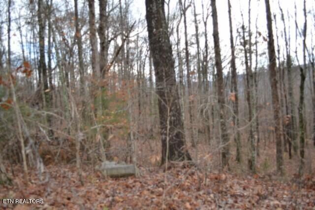 Lot 75 Tomahawk Rd, Jamestown, TN 38556