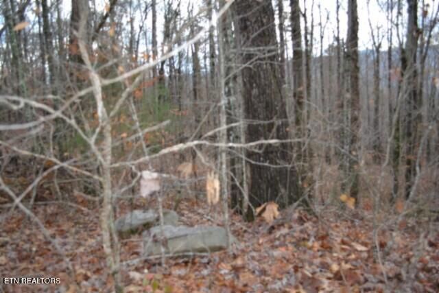 Lot 75 Tomahawk Rd, Jamestown, TN 38556