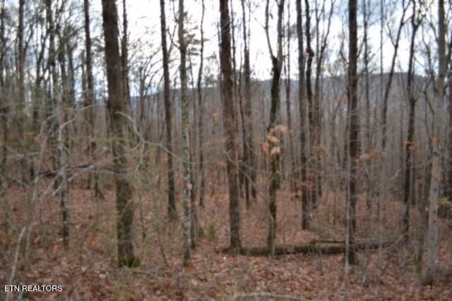 Lot 75 Tomahawk Rd, Jamestown, TN 38556
