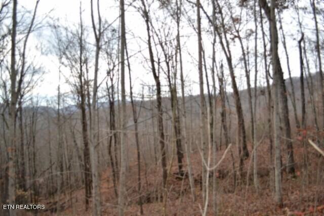 Lot 75 Tomahawk Rd, Jamestown, TN 38556