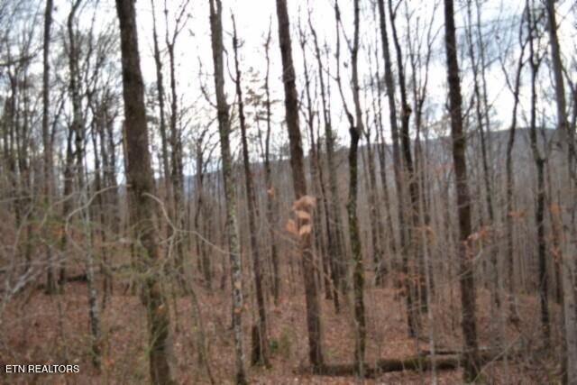 Lot 75 Tomahawk Rd, Jamestown, TN 38556