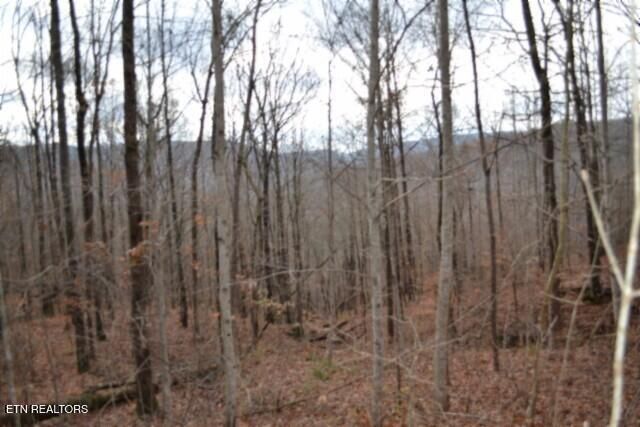 Lot 75 Tomahawk Rd, Jamestown, TN 38556