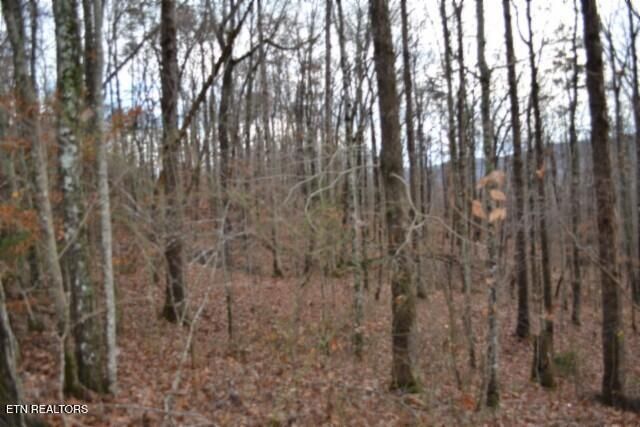 Lot 75 Tomahawk Rd, Jamestown, TN 38556