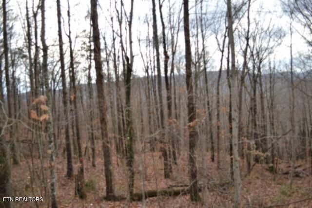 Lot 75 Tomahawk Rd, Jamestown, TN 38556