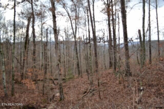 Lot 75 Tomahawk Rd, Jamestown, TN 38556