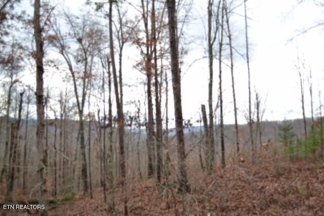 Lot 75 Tomahawk Rd, Jamestown, TN 38556