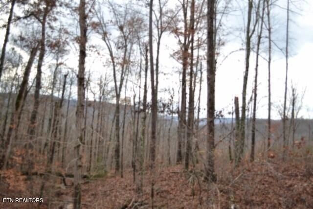 Lot 75 Tomahawk Rd, Jamestown, TN 38556