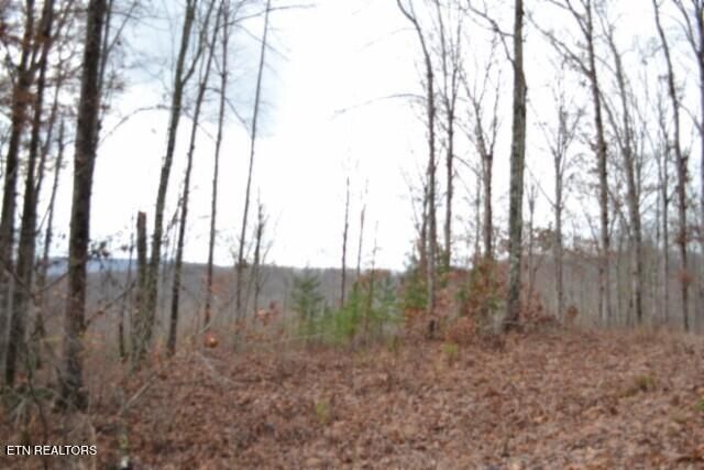 Lot 75 Tomahawk Rd, Jamestown, TN 38556