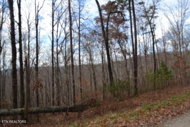 Lot 75 Tomahawk Rd, Jamestown, TN 38556
